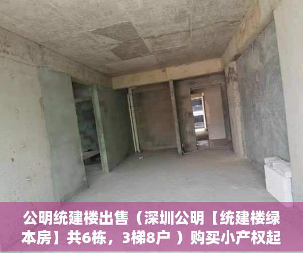 公明统建楼出售（深圳公明【统建楼绿本房】共6栋，3梯8户 ）购买小产权起诉多久能退款，