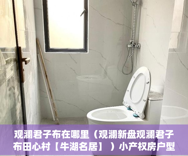 观澜君子布在哪里（观澜新盘观澜君子布田心村【牛湖名居】 ）小产权房户型怎么样，