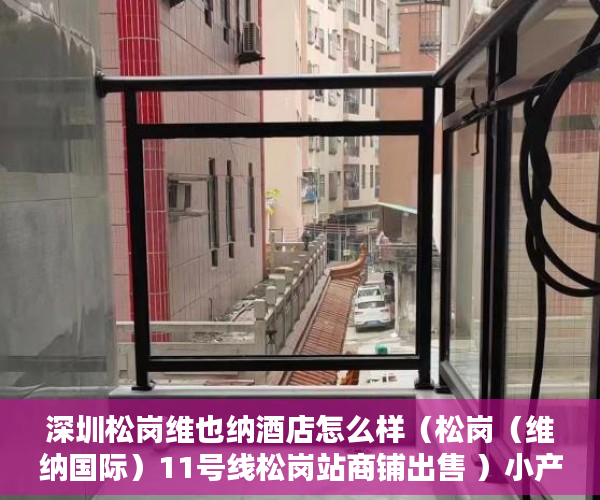 深圳松岗维也纳酒店怎么样（松岗（维纳国际）11号线松岗站商铺出售 ）小产权没有证怎么加名字，