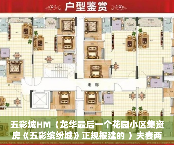 五彩城HM（龙华最后一个花园小区集资房《五彩缤纷城》正规报建的 ）夫妻两人都是小产权房怎么办，