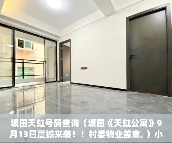 坂田天虹号码查询（坂田《天虹公寓》9月13日震撼来袭！！村委物业盖章, ）小产权需供多久，