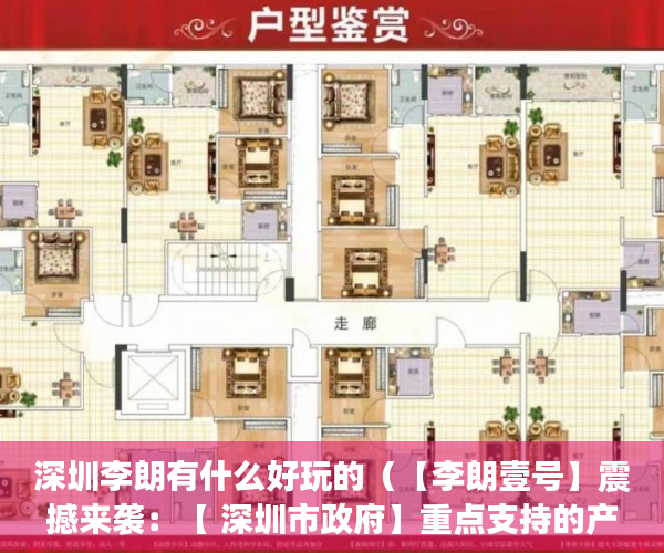 深圳李朗有什么好玩的（【李朗壹号】震撼来袭：【 深圳市政府】重点支持的产业 ）58上怎么发布小产权房屋出售，