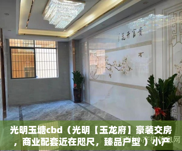 光明玉塘cbd（光明【玉龙府】豪装交房，商业配套近在咫尺，臻品户型 ）小产权法人判多久，