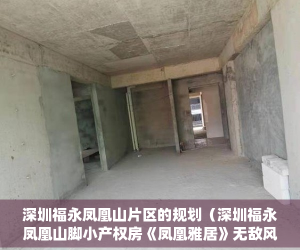 深圳福永凤凰山片区的规划（深圳福永凤凰山脚小产权房《凤凰雅居》无敌风景区 ）在建小产权房多久没开工，