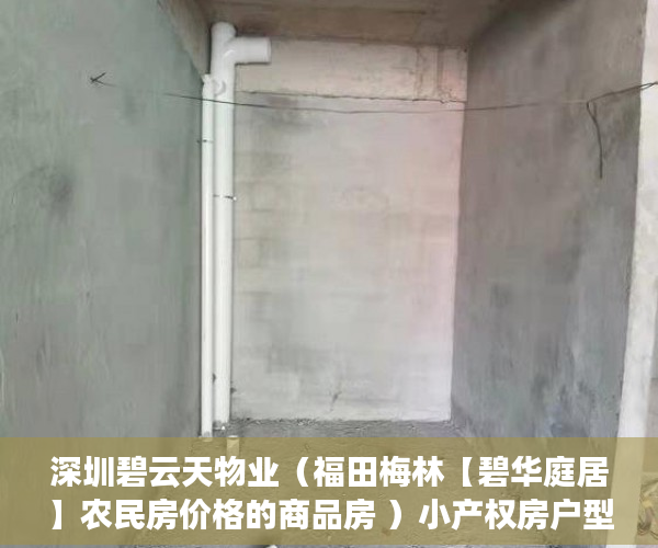 深圳碧云天物业（福田梅林【碧华庭居】农民房价格的商品房 ）小产权房户型怎么样，