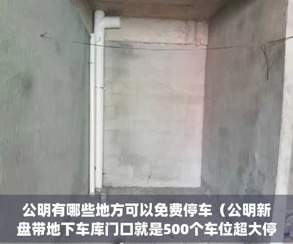 公明有哪些地方可以免费停车（公明新盘带地下车库门口就是500个车位超大停车场！ ）买小产权怎么样，