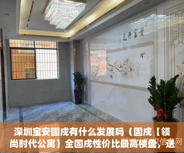 深圳宝安固戍有什么发展吗（固戍【领尚时代公寓】全固戍性价比最高楼盘，送全套家 ）东莞小产权房屋怎么办，