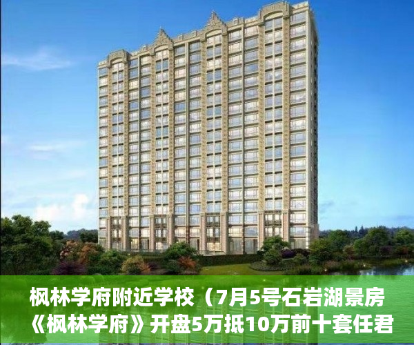 枫林学府附近学校（7月5号石岩湖景房《枫林学府》开盘5万抵10万前十套任君 ）2年前买的小产权房有纠纷怎么办，