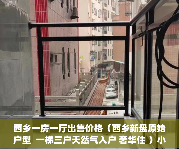 西乡一房一厅出售价格（西乡新盘原始户型  一梯三户天然气入户 奢华住 ）小产权法院多久，