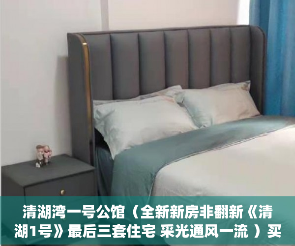 清湖湾一号公馆（全新新房非翻新《清湖1号》最后三套住宅 采光通风一流 ）买小产权房多久可以贷款，