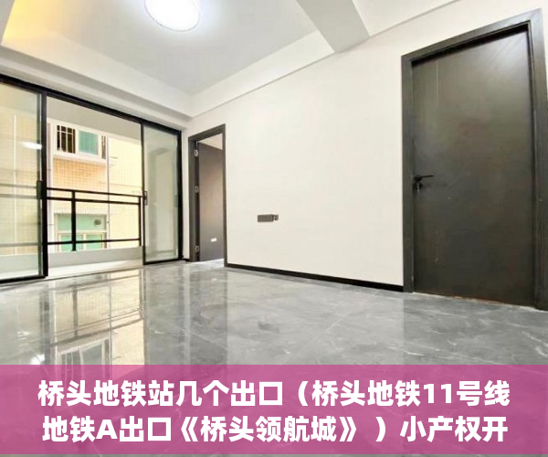 桥头地铁站几个出口（桥头地铁11号线地铁A出口《桥头领航城》 ）小产权开发多久完工，