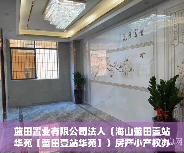 蓝田置业有限公司法人（海山蓝田壹站华苑【蓝田壹站华苑】）房产小产权办下来需要多久，