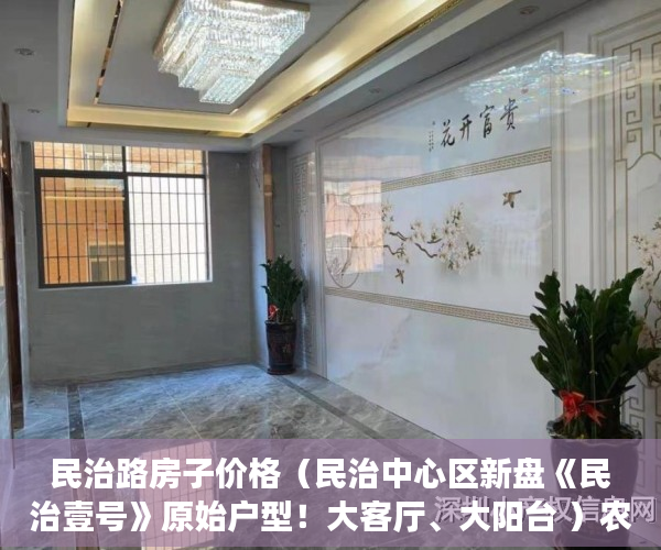 民治路房子价格（民治中心区新盘《民治壹号》原始户型！大客厅、大阳台 ）农村小产权房怎么解决，