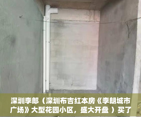 深圳李郎（深圳布吉红本房《李朗城市广场》大型花园小区，盛大开盘 ）买了小产权房怎么申请公租房，