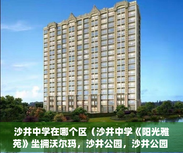 沙井中学在哪个区（沙井中学《阳光雅苑》坐拥沃尔玛，沙井公园，沙井公园 ）驿小产权房怎么样，