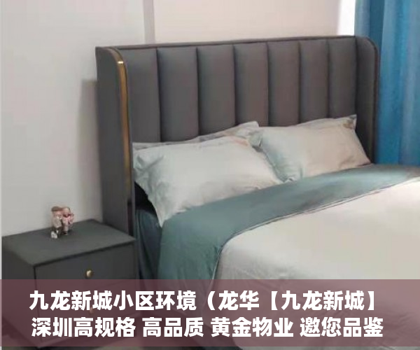 九龙新城小区环境（龙华【九龙新城】 深圳高规格 高品质 黄金物业 邀您品鉴 ）海口小产权房怎么上学，