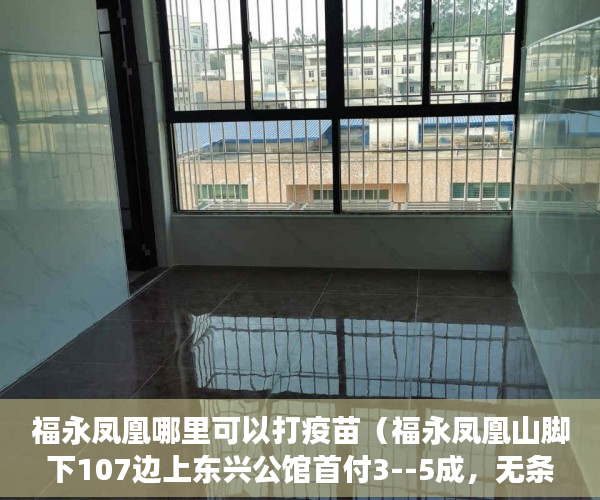 福永凤凰哪里可以打疫苗（福永凤凰山脚下107边上东兴公馆首付3--5成，无条件分期5 ）未来小产权房怎么卖，