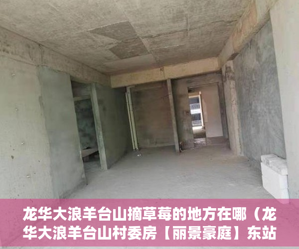 龙华大浪羊台山摘草莓的地方在哪（龙华大浪羊台山村委房【丽景豪庭】东站400米 ）小产权房怎么过户，
