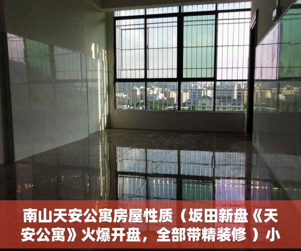 南山天安公寓房屋性质（坂田新盘《天安公寓》火爆开盘，全部带精装修 ）小产权房怎么装燃气，