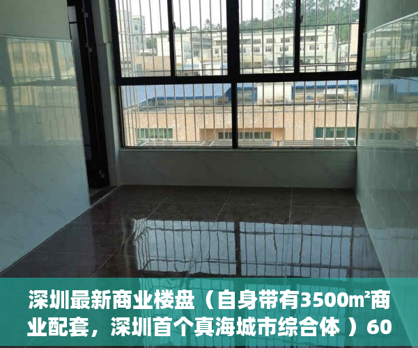 深圳最新商业楼盘(自身带有3500㎡商业配套,深圳首个真海城市综合体 )60万平方米小产权要建多久, 深圳最新商业楼盘(自身带有3500㎡商业配套,深圳首个真海城市综合体 )60万平方米小产权要建多久,