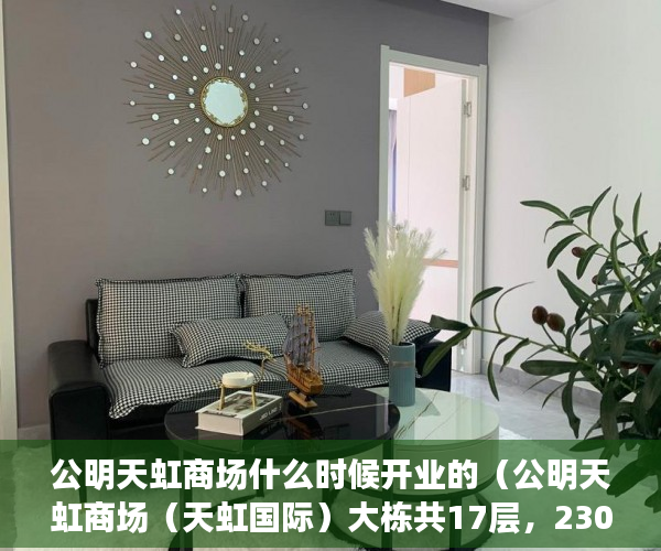 公明天虹商场什么时候开业的（公明天虹商场（天虹国际）大栋共17层，230户， ）小产权纠纷起诉多久可以解决，