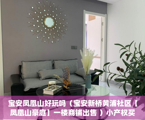 宝安凤凰山好玩吗（宝安新桥黄浦社区【凤凰山豪庭】一楼商铺出售 ）小产权买多久能交房，