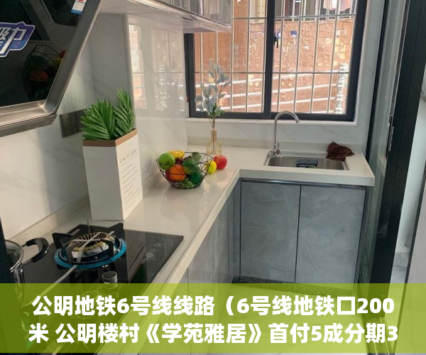 公明地铁6号线线路（6号线地铁口200米 公明楼村《学苑雅居》首付5成分期3年 ）小产权房价值怎么评估，