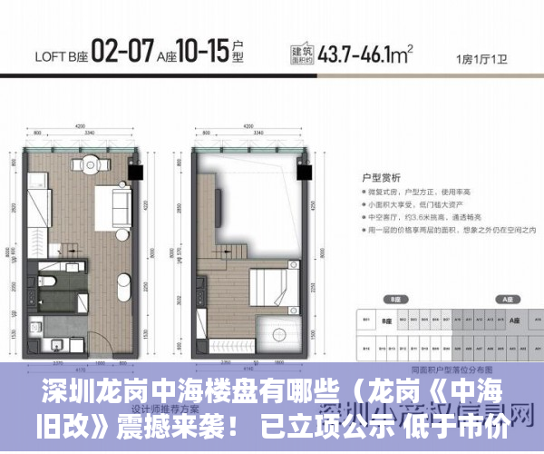 深圳龙岗中海楼盘有哪些（龙岗《中海旧改》震撼来袭！ 已立项公示 低于市价1万m2 ）小产权房怎么办，