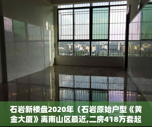石岩新楼盘2020年（石岩原始户型《黄金大厦》离南山区最近,二房418万套起 ）小产权房价值怎么评估，