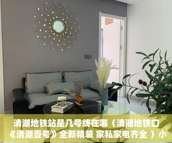 清湖地铁站是几号线在哪（清湖地铁口《清湖壹号》全新精装 家私家电齐全 ）小产权使用年限是多久，