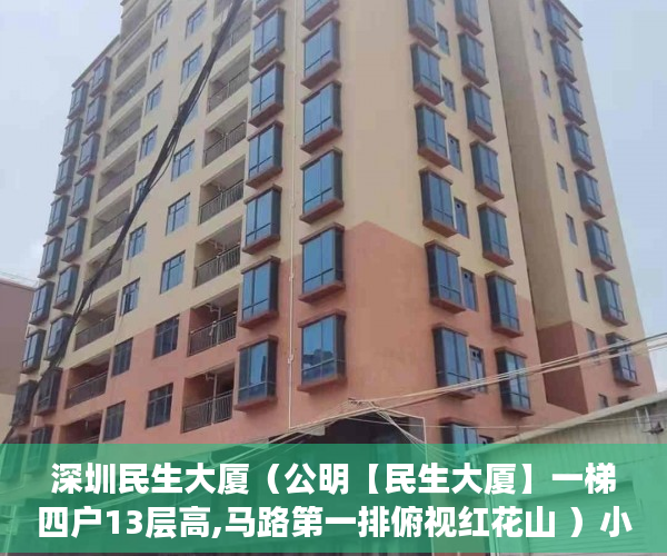 深圳民生大厦（公明【民生大厦】一梯四户13层高,马路第一排俯视红花山 ）小产权法院贴公告多久要拆房，