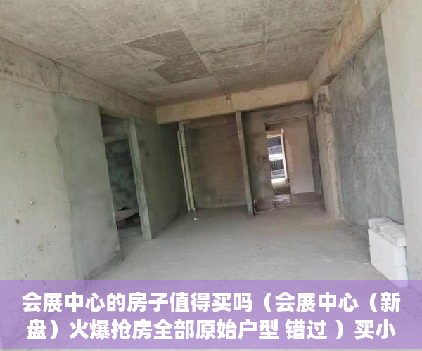 会展中心的房子值得买吗（会展中心（新盘）火爆抢房全部原始户型 错过 ）买小产权房怎么样，
