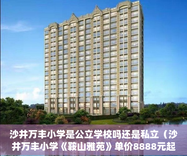 沙井万丰小学是公立学校吗还是私立（沙井万丰小学《鞍山雅苑》单价8888元起）乡镇上有小产权房怎么办，