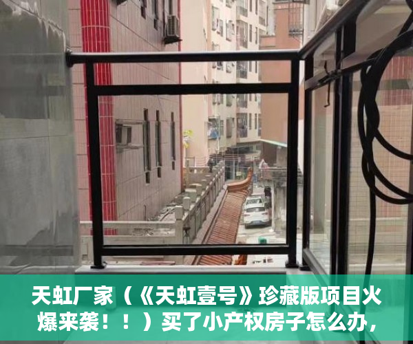 天虹厂家（《天虹壹号》珍藏版项目火爆来袭！！）买了小产权房子怎么办，