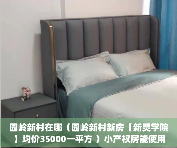 园岭新村在哪（园岭新村新房【新灵学院】均价35000一平方 ）小产权房能使用多久，