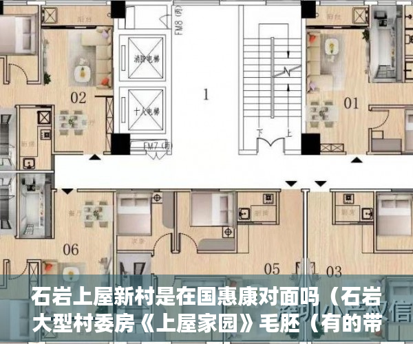 石岩上屋新村是在国惠康对面吗（石岩大型村委房《上屋家园》毛胚（有的带装修） ）小产权多久可以买，