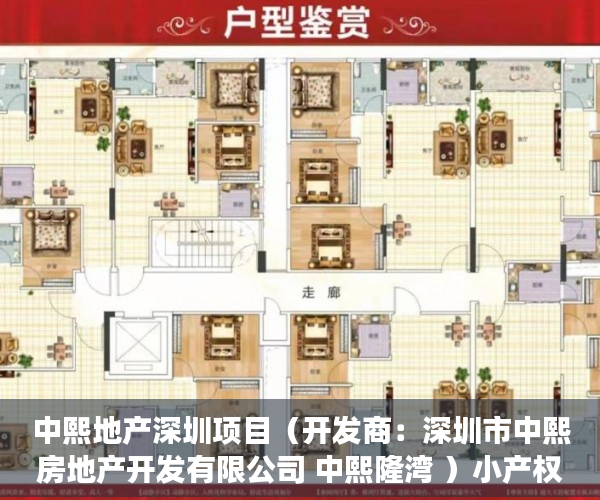中熙地产深圳项目（开发商：深圳市中熙房地产开发有限公司 中熙隆湾 ）小产权续费一般多久，