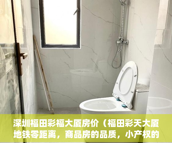 深圳福田彩福大厦房价（福田彩天大厦地铁零距离，商品房的品质，小产权的价格 ）离婚起诉小产权房怎么处理，