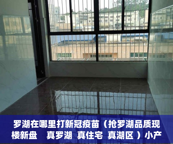 罗湖在哪里打新冠疫苗（抢罗湖品质现楼新盘    真罗湖  真住宅  真湖区 ）小产权村委过户需要多久，