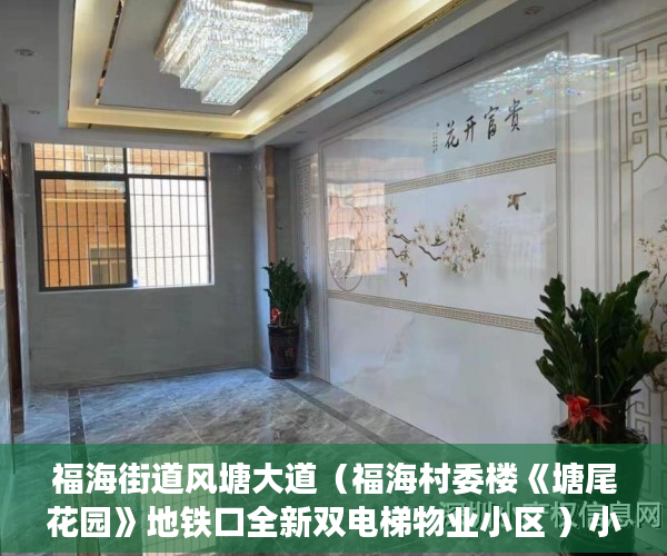 福海街道风塘大道（福海村委楼《塘尾花园》地铁口全新双电梯物业小区 ）小产权住宅信息统计表怎么填，
