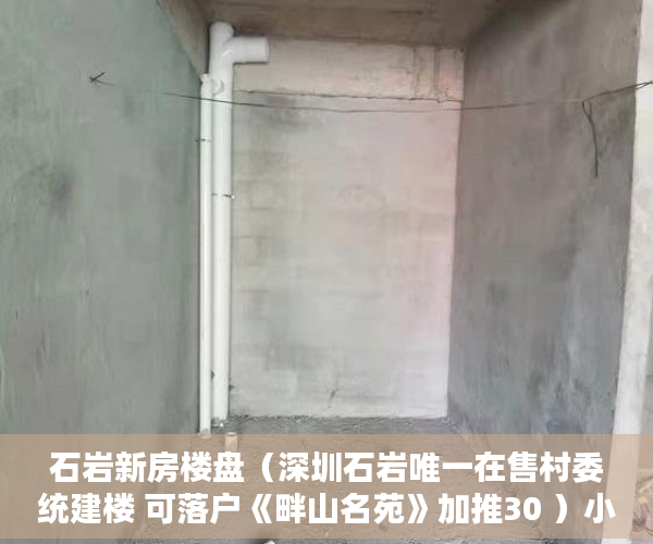 石岩新房楼盘（深圳石岩唯一在售村委统建楼 可落户《畔山名苑》加推30 ）小产权房怎么办水电卡，
