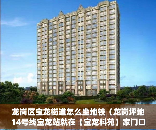 龙岗区宝龙街道怎么坐地铁（龙岗坪地14号线宝龙站就在【宝龙科苑】家门口 ）小产权办理大产权需要多久，