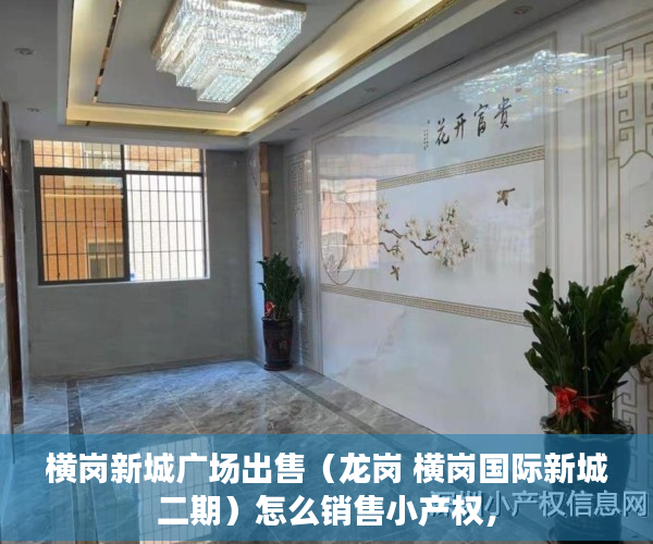 横岗新城广场出售（龙岗 横岗国际新城二期）怎么销售小产权，