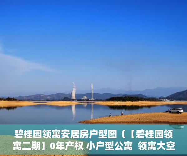 碧桂园领寓安居房户型图（【碧桂园领寓二期】0年产权 小户型公寓  领寓大空港 会 ）小产权多久1463796Z空间，