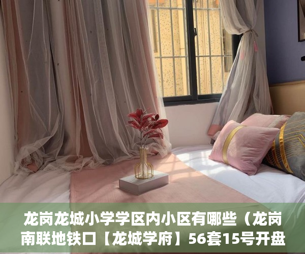 龙岗龙城小学学区内小区有哪些（龙岗南联地铁口【龙城学府】56套15号开盘 ）小产权纠纷打官司要多久，
