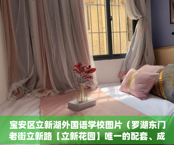 宝安区立新湖外国语学校图片（罗湖东门老街立新路【立新花园】唯一的配套、成型小区 ）小产权大队见证盖章要多久，