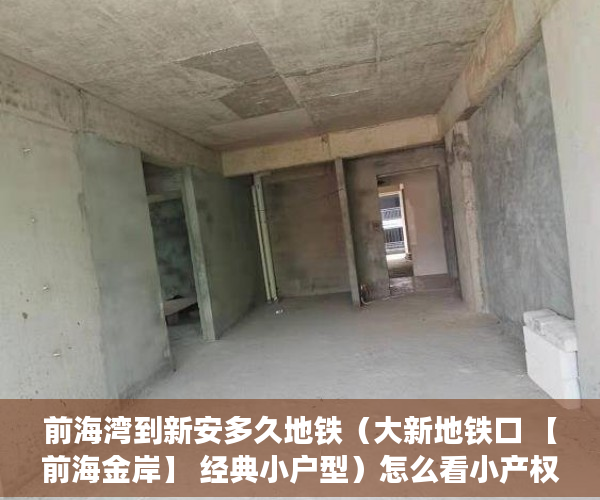 前海湾到新安多久地铁（大新地铁口 【前海金岸】 经典小户型）怎么看小产权房，