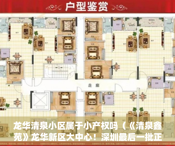 龙华清泉小区属于小产权吗（《清泉鑫苑》龙华新区大中心！深圳最后一批正品统建楼！ ）小产权房房产有多久，