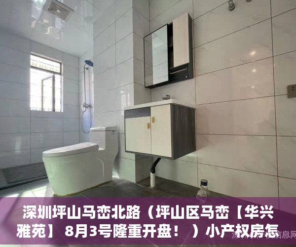 深圳坪山马峦北路（坪山区马峦【华兴雅苑】 8月3号隆重开盘！ ）小产权房怎么处理，