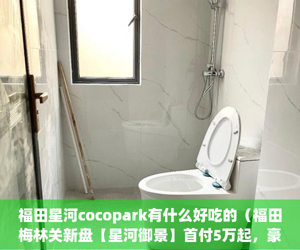 福田星河cocopark有什么好吃的（福田梅林关新盘【星河御景】首付5万起，豪装电梯房带家 ）小产权房政策审批需要多久，